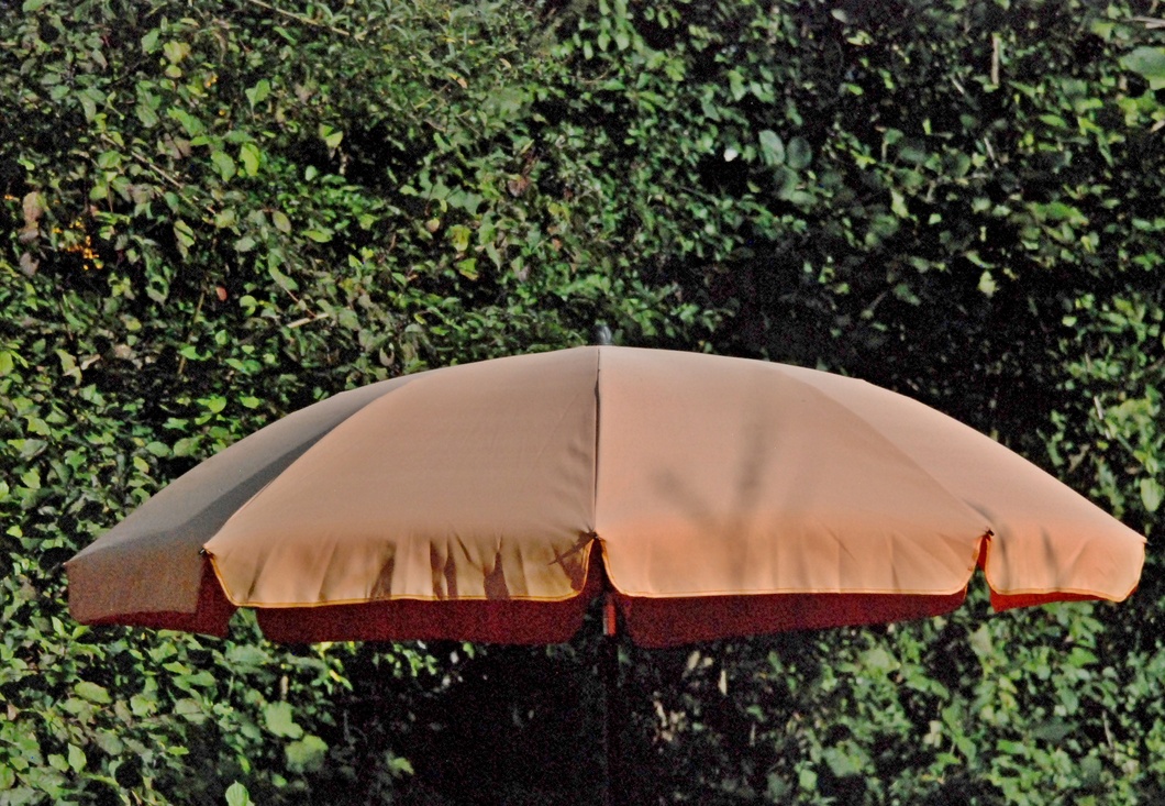 08. September 2023 - Geheimnisvoller Sonnenschirm im Garten. Er schützt die Schildkröten der Nachbarin vor allzu viel Hitze