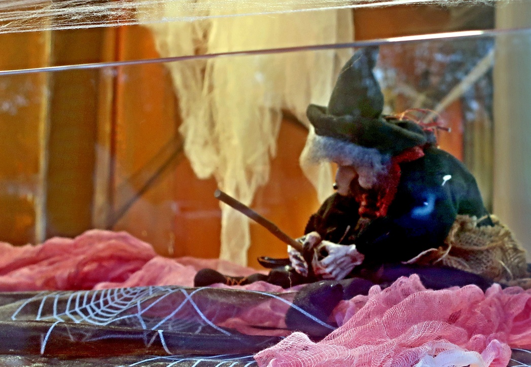 08. November 2022 - Eine Woche danach. Halloween hat sich noch nicht davongemach