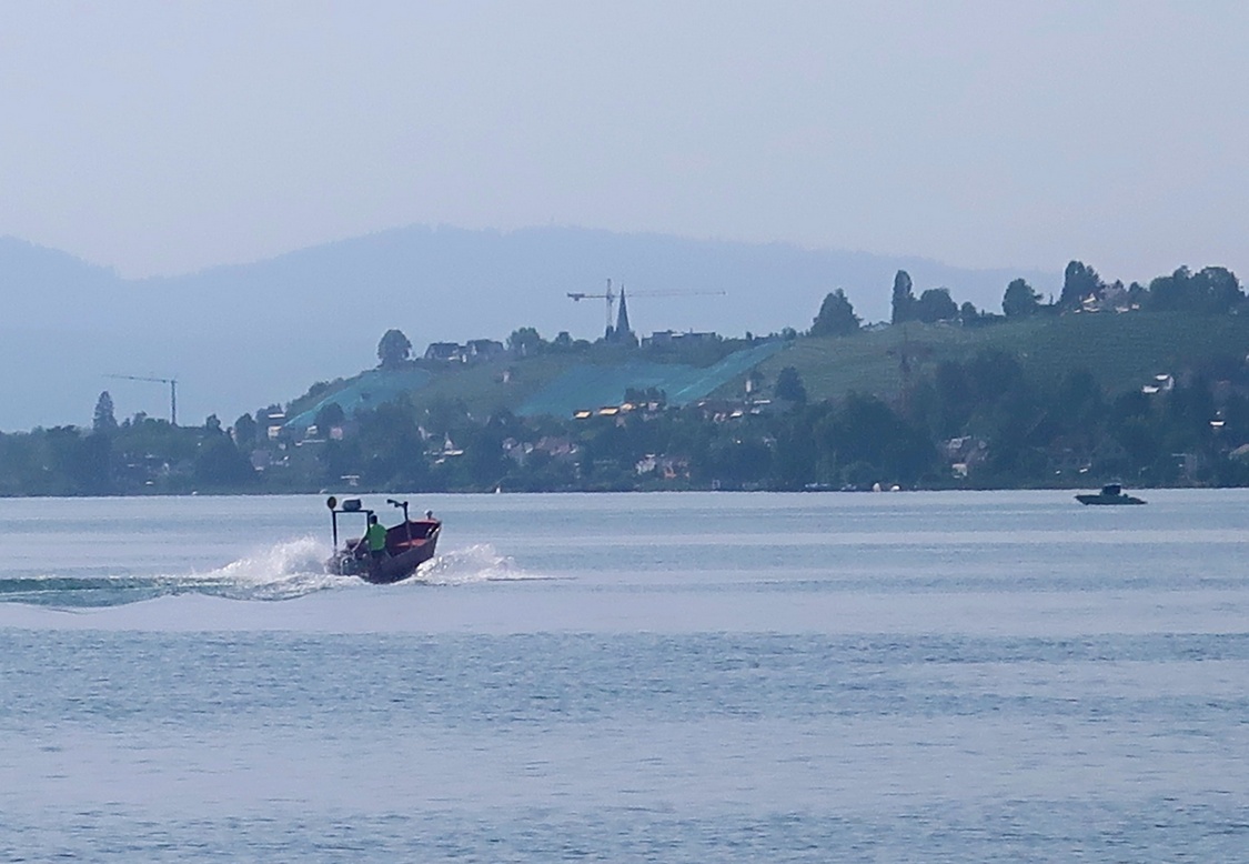 05. September 2023 - Reben am See