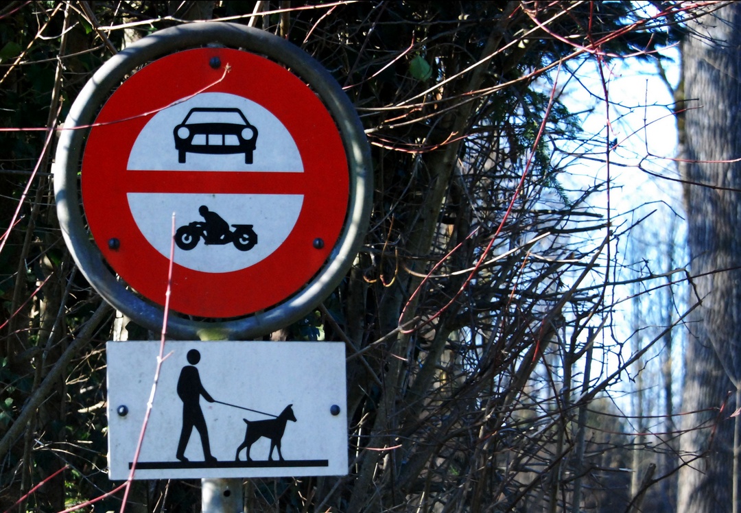 13. Februar 2023 - Hunde haben ihre eigenen Wege