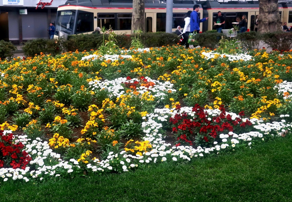 27. April 2023 - Fleissarbeit der Gärtner. Frühling in der Stadt.