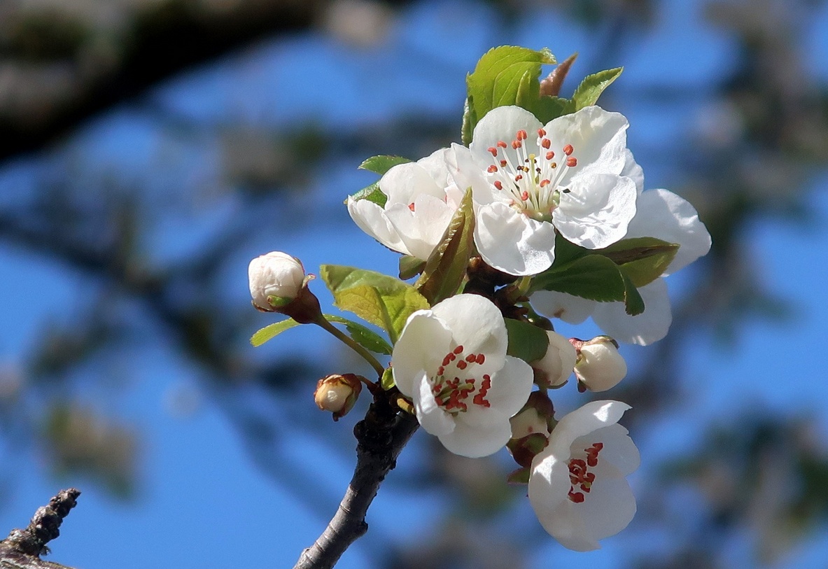 30. März 2021 - Ein, zwei warme, sonnige Tage - der Frühling ist da