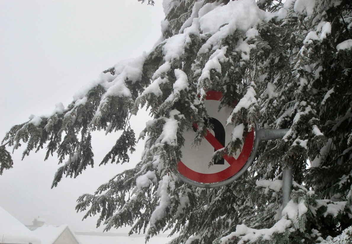 25. Januar 2015 - Versteckspiel oder Schnee, der den Verkehr durcheinander bringt