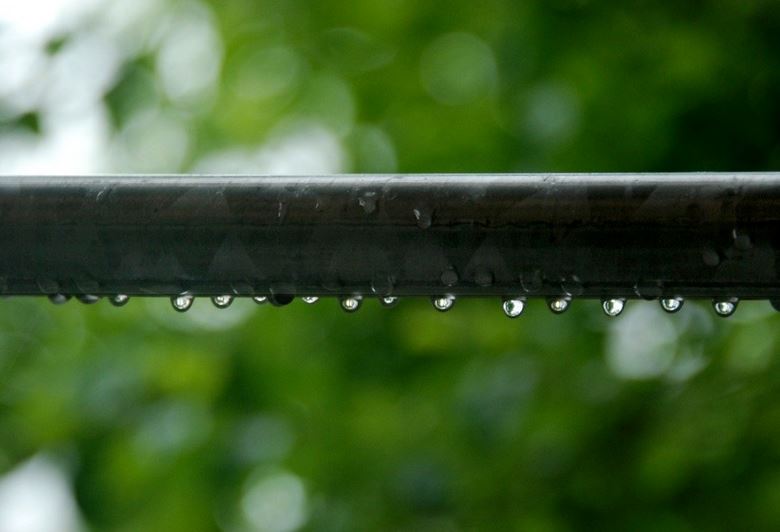 23. Mai 2012 - Vor meinem Fenster