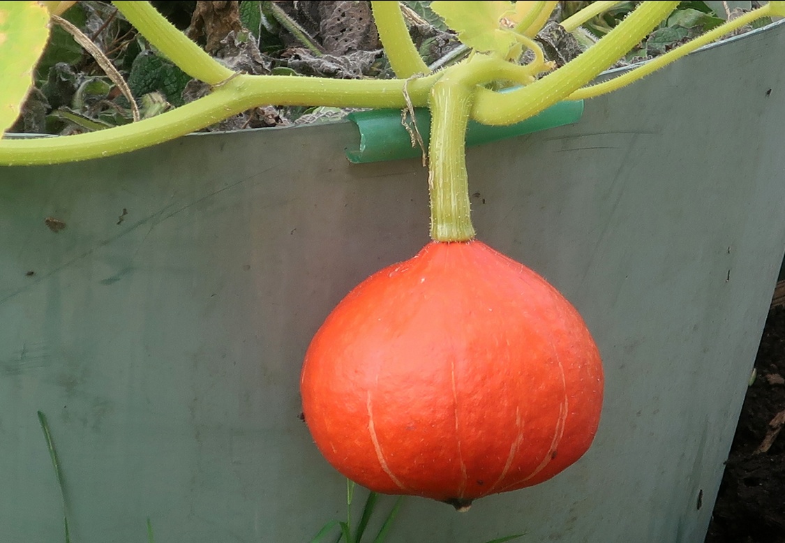 11. August 2023 - Vorzeichen des Herbsts 