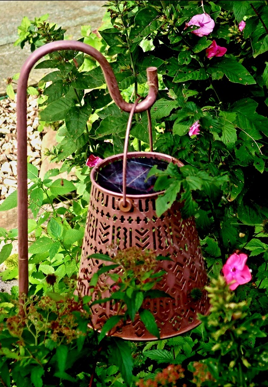 08. August 2023 - Gartennostalgie