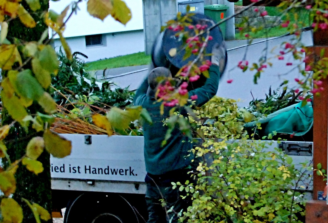13. November 2023 - Räumung der Natur 