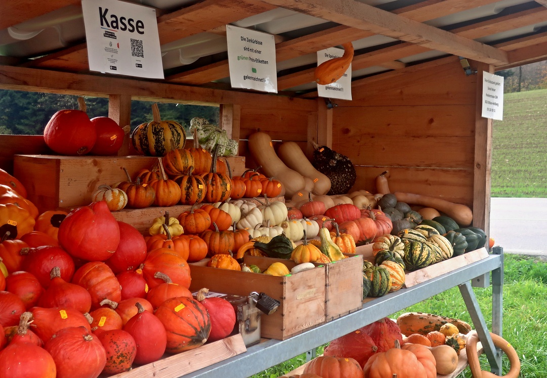 31. Oktober 2022 - Kürbis statt Äpfel und Birnen