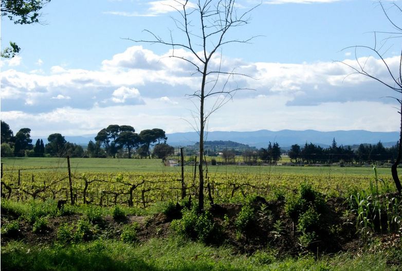 12. Mai 2012 - Languedoc