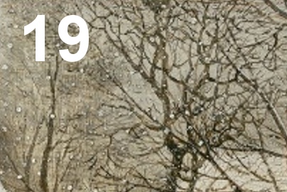 Tor 19