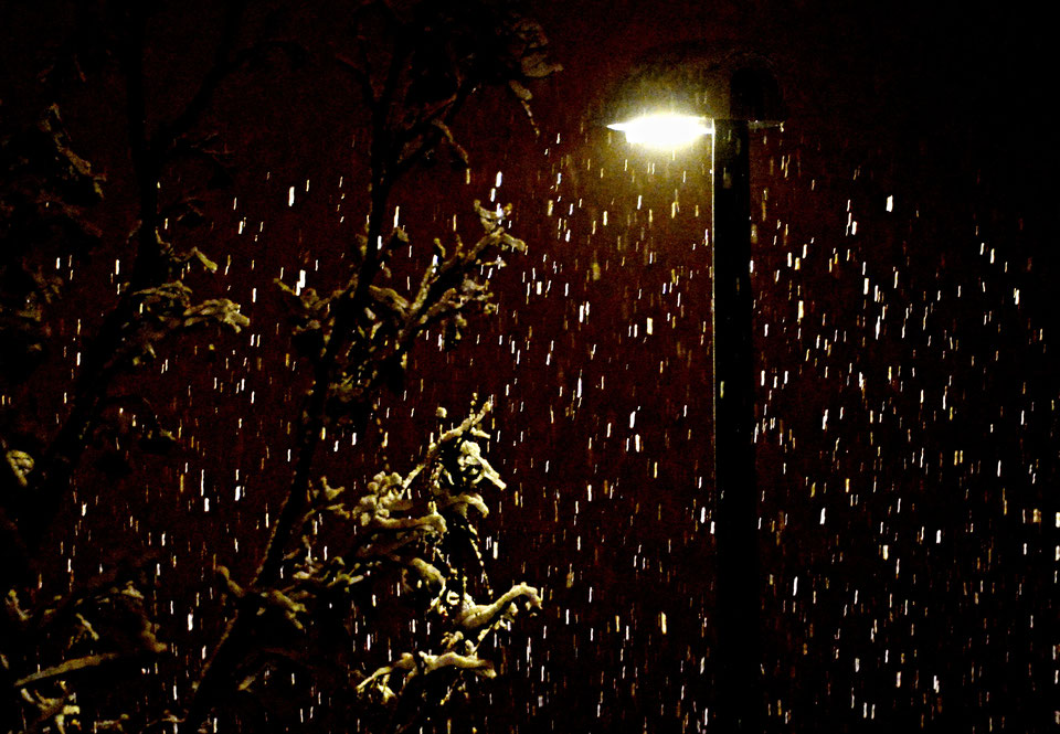  03. Februar 2019 - Es schneielet, es beielet, es.. 03. Februar 2019 - Es schneielet, es beielet, es..