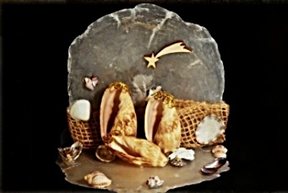 Totale 11 - Bild 11