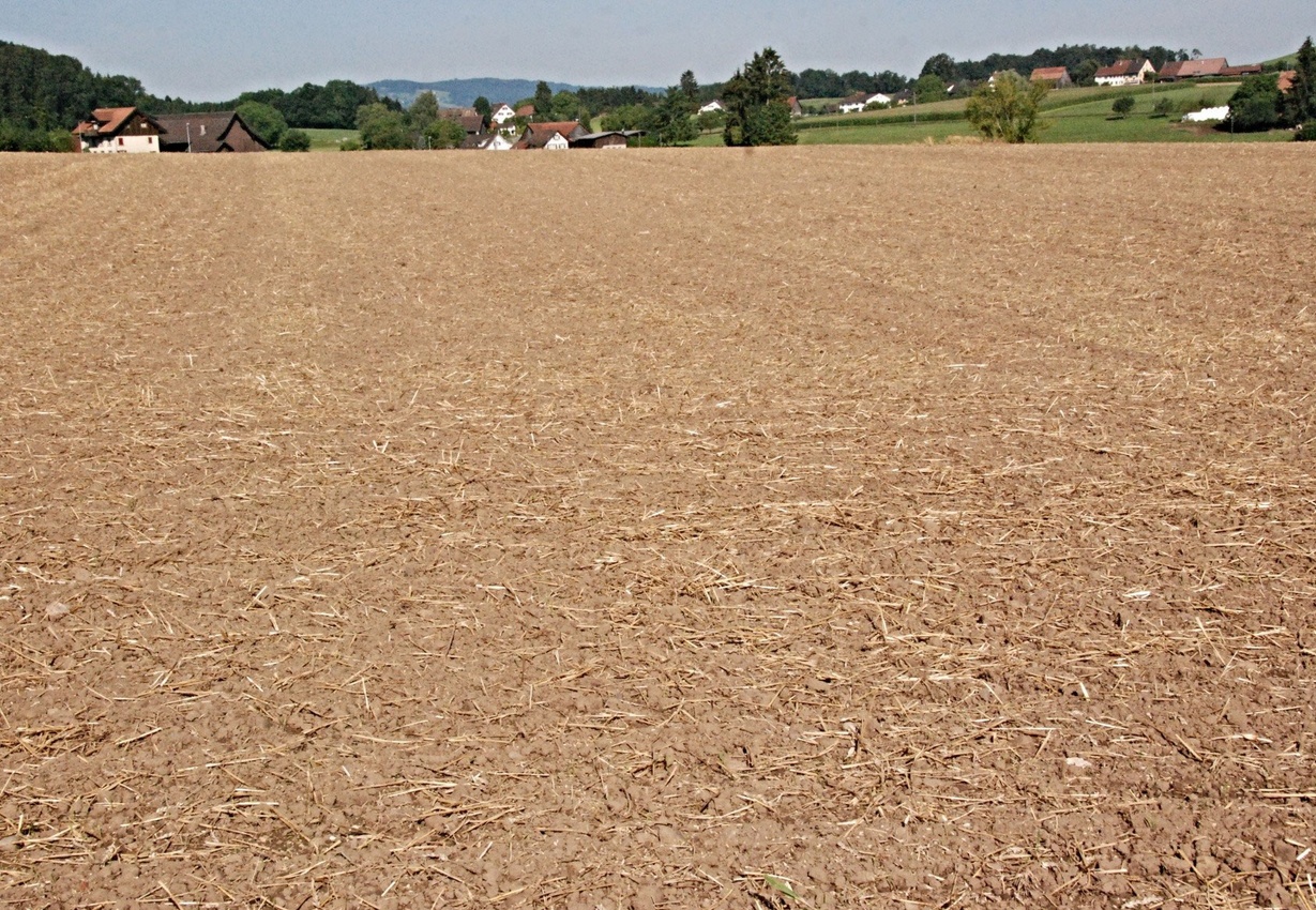 01. August 2015 - Abgeerntet - ein so weites Feld