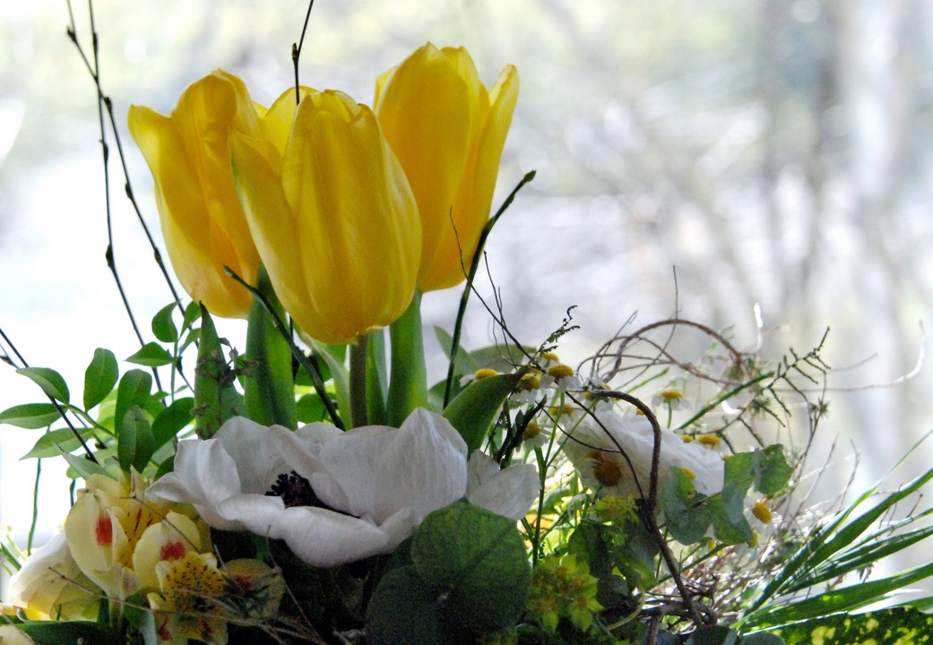 20. Februar 2023 - Noch mehr Frühling, heute