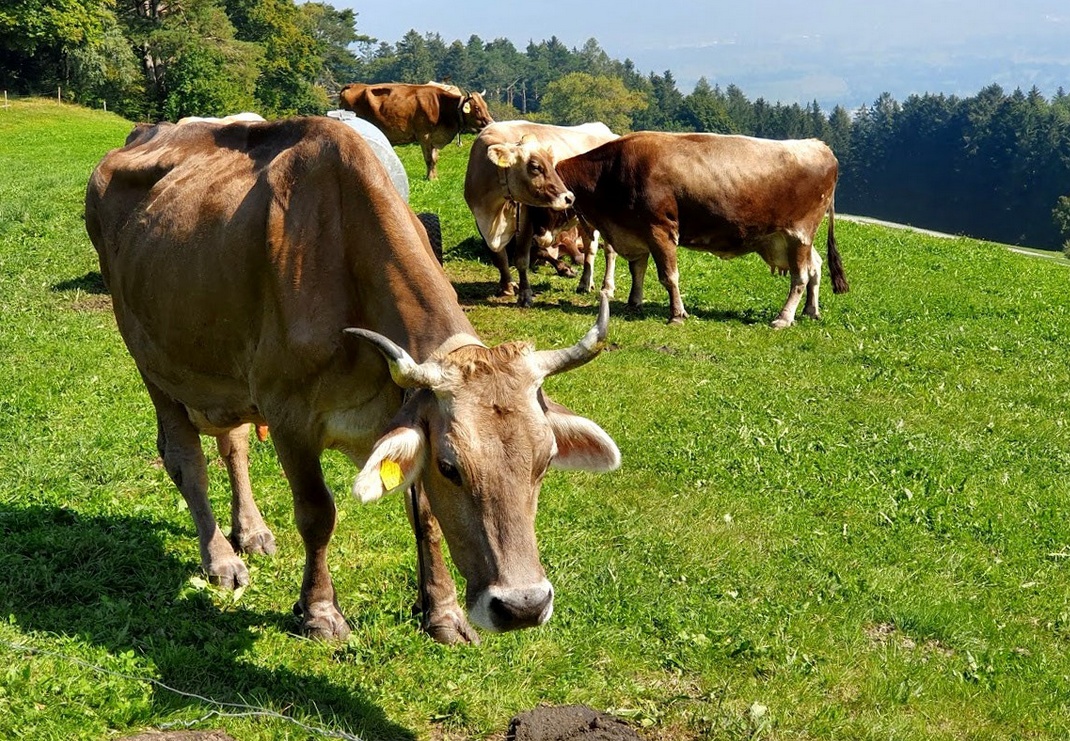 12. September 2020 - Unsere neue Nachbarin