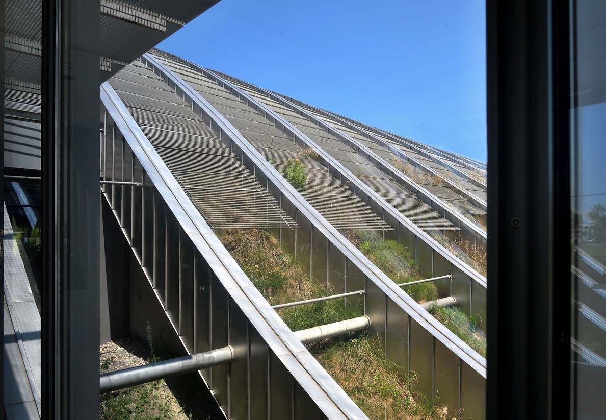 21. Juni 2017 - Natur auf dem Dach der Kunst (Paul-Klee-Museum, Bern)