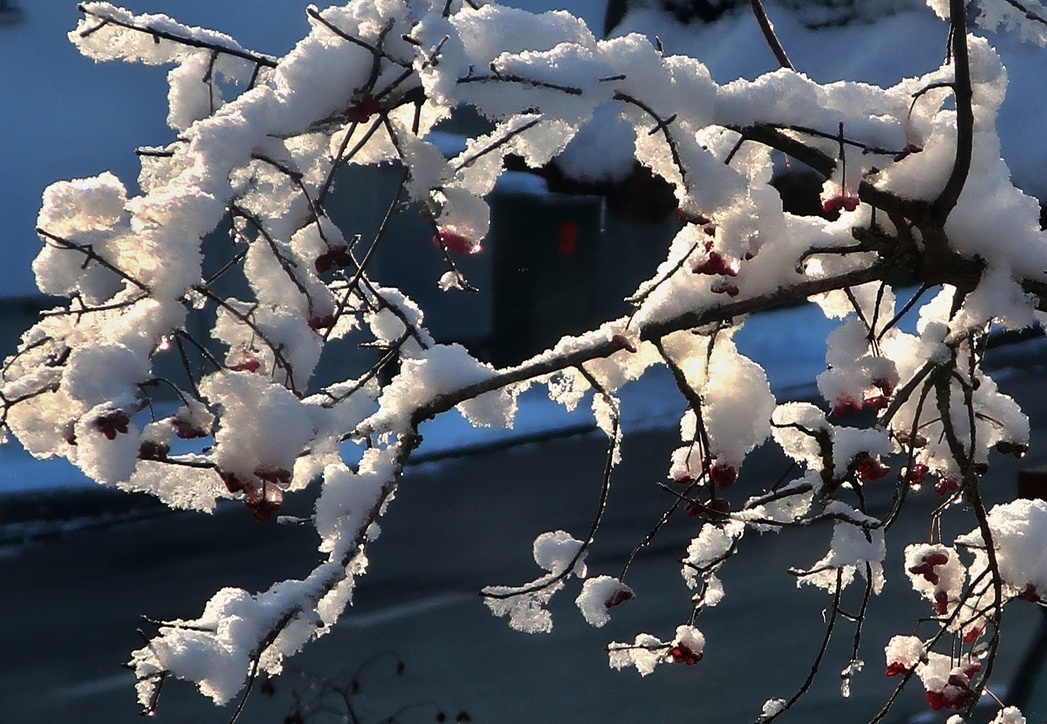 16. Dezember 2022 - Schnee. Die Bilder wiederholen sich