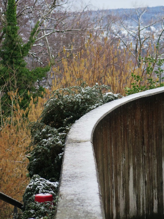 17. Februar 2016 - Der Winter ist nicht vorbei, es bleibt nass und kalt