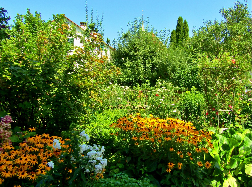 09. September 2019 - Wenn der Hausgarten droht das Haus zu ersticken