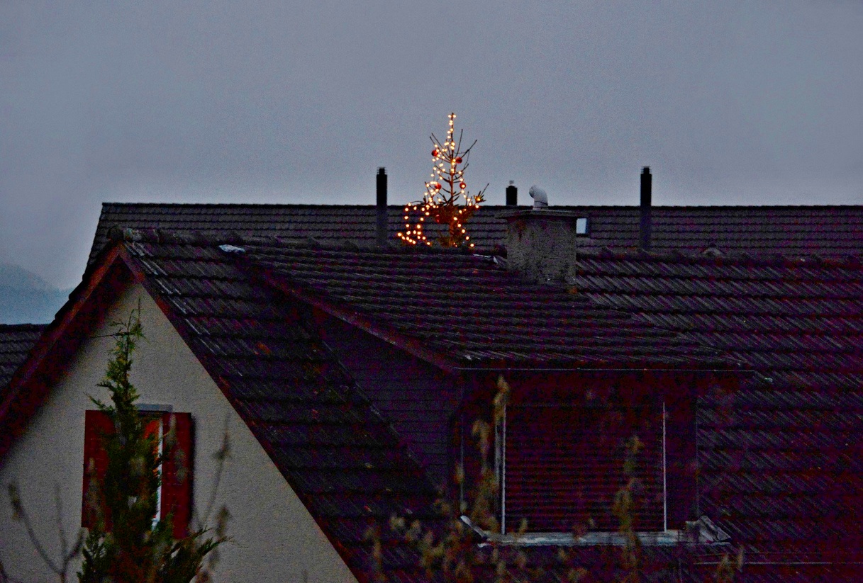 30. November 2014 - Erster Adventsonntag mit dem Christbaum der in den Himmel wächst.