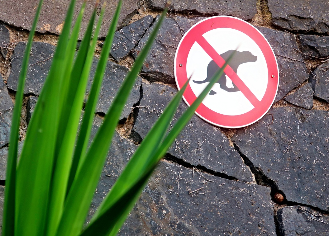 10. Juni 2023 - Dabei wäre es gerade hier so schön gewesen