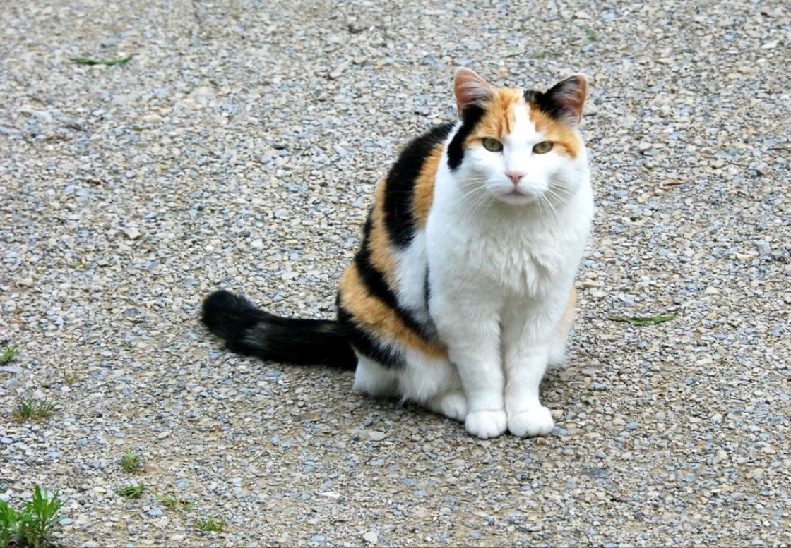 13. Juni 2012 - Warten auf angenehmeres Wetter