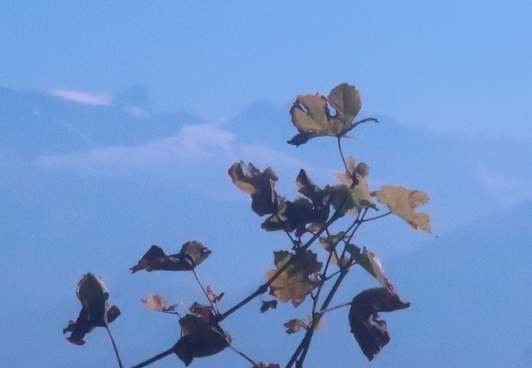 25. Oktober 2021 - Herbst