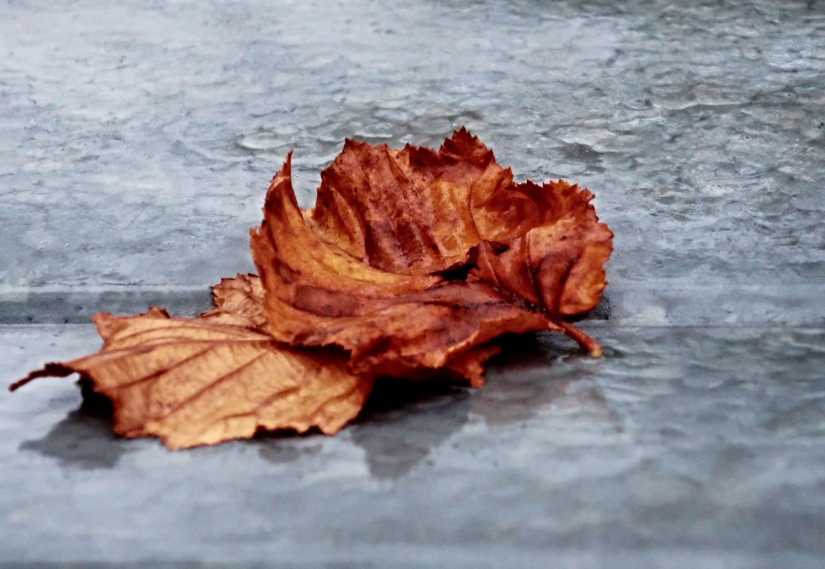 04. November 2019 - Vom Winde verweht...