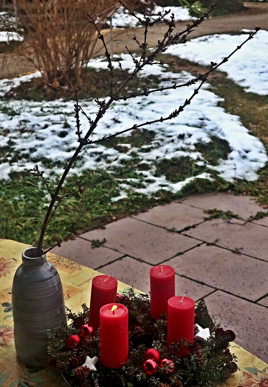 04. Dezember 2020 - Barbarazweig: Nach der Überlieferung blieb die Heilige Barbara auf dem Weg in das Gefängnis an einem Zweig hängen. Sie stellte ihn in ein Gefäß mit Wasser, und er blühte genau an dem Tag, an dem sie das Martyrium erlitt.