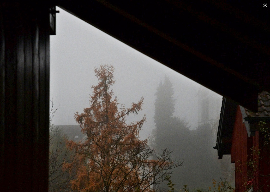 20. November.2014 - Wetterbericht: "Unterhalb von 800 Metern oft Nebel oder Hochnebel, darüber ziemlich sonnig"