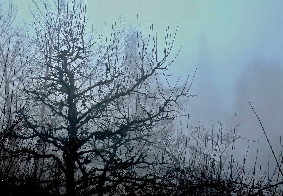 26. Dezember 2019 - Statt im Schnee - im Nebel versunken