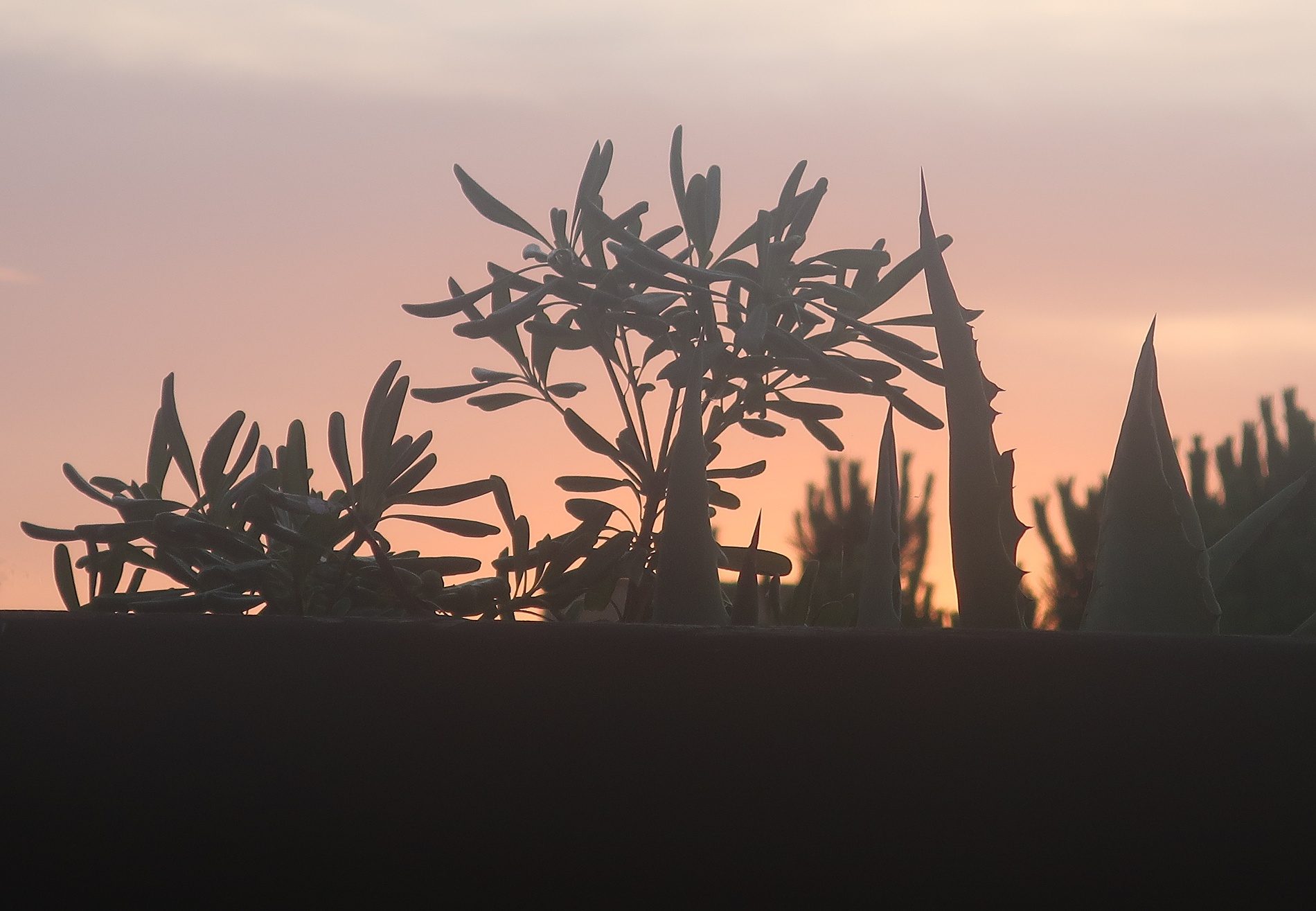 02. Juli 2024 - Morgenstimmung in einer andern Welt
