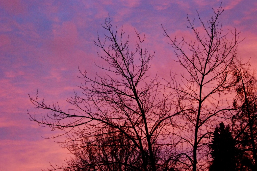 04. Februar 2023 - Aufgenommen gestern Abend - Abendrot - Schönwetterbot. Doch diesmal stimmt die Bauernregel nicht. Heute regnet es.