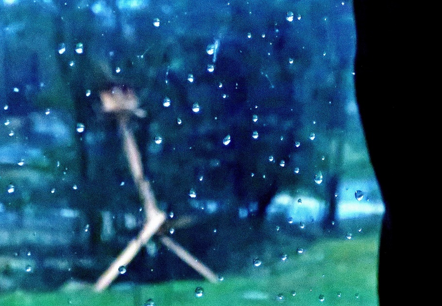 09. März 2023 - Regen, Regen Tröpfchen, fall nur auf mein Köpfchen, fall nicht daneben, dass ich lang soll leben 