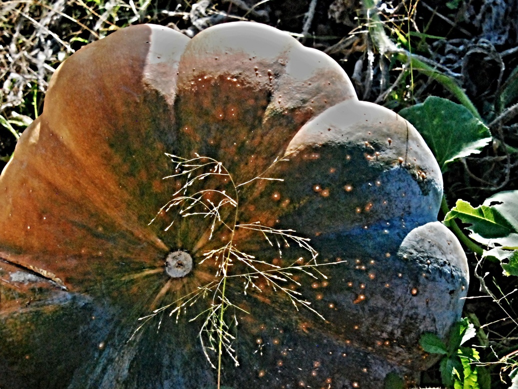 25. September 2023 - Die Zarte und der Dicke
