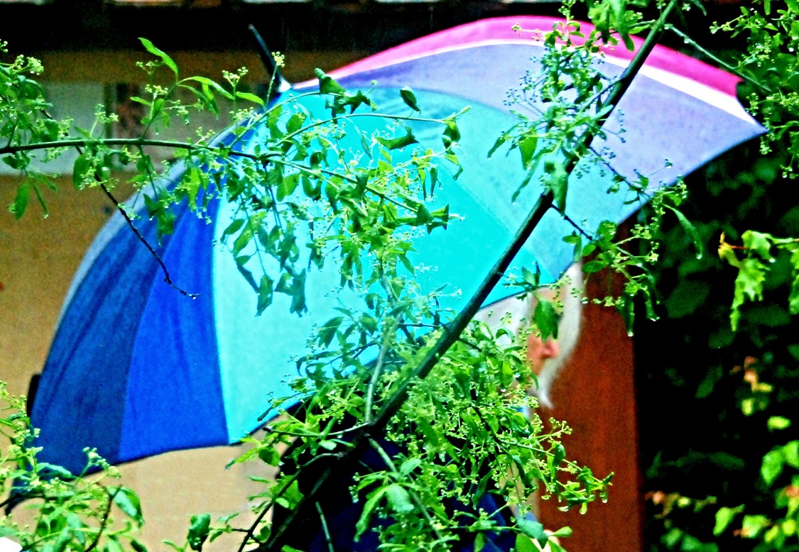11. Mai 2023 - Dem Regen mit Farben trotzen