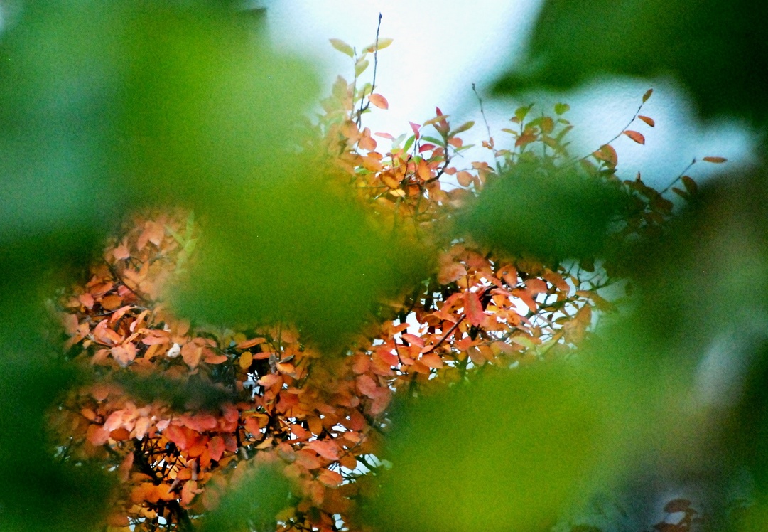 10. Oktober 2022 - Es ist Herbst geworden