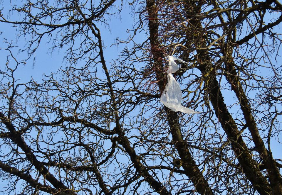 10. April 2019 - Vom Winde verweh