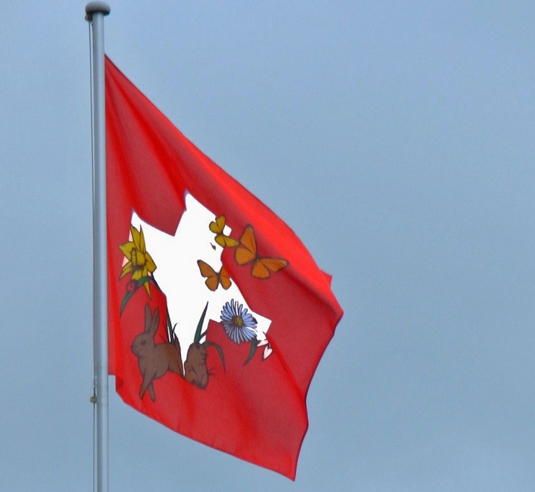 03. Mai 2013 - Eine Schweizerfahne, ein Frühlingsfahne oder beides?
