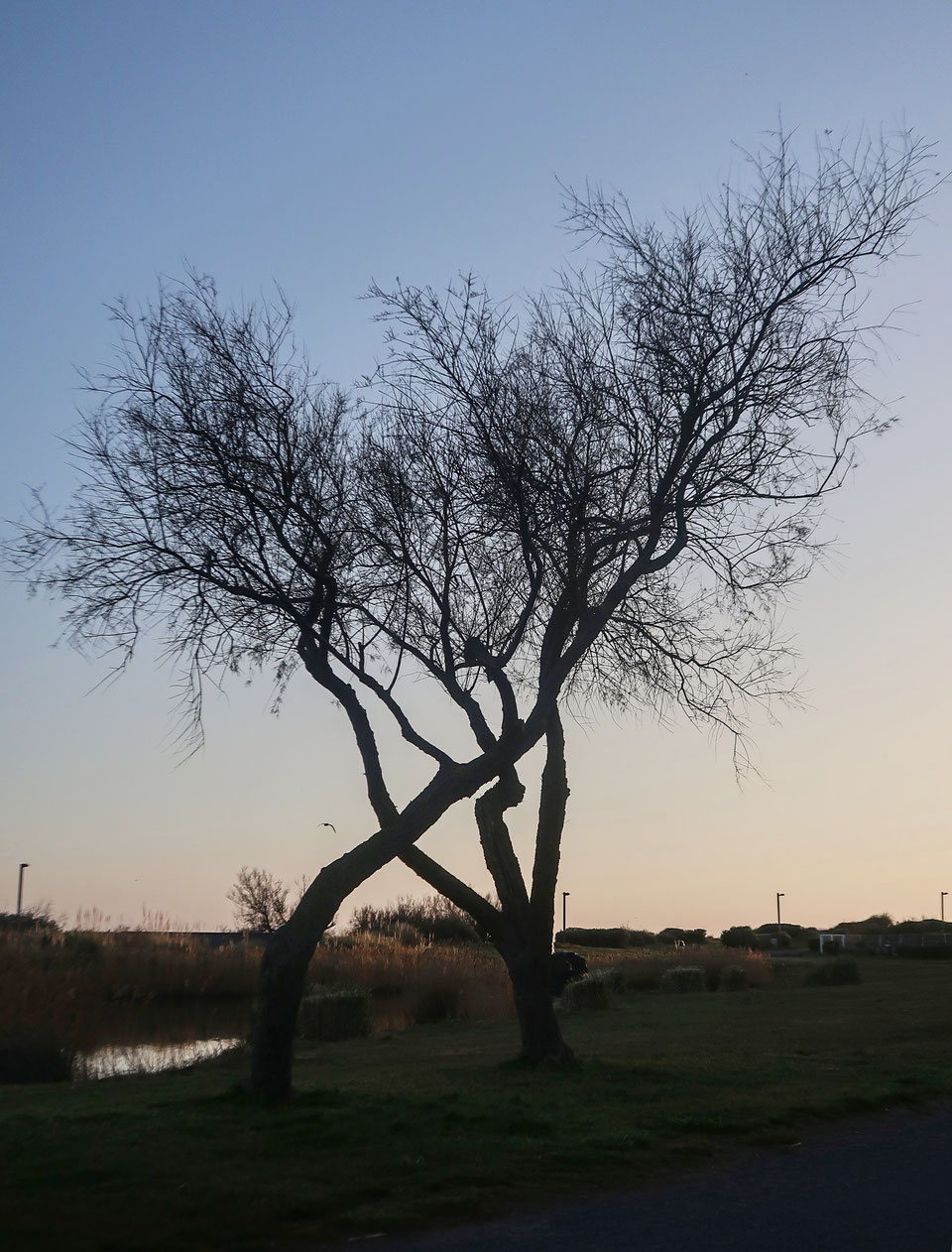 22. Februar 2019 - Wenn die Natur regiert