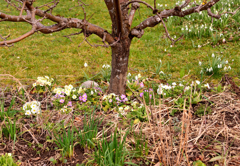 20. März 2019 - Wo sich der Frühling trifft