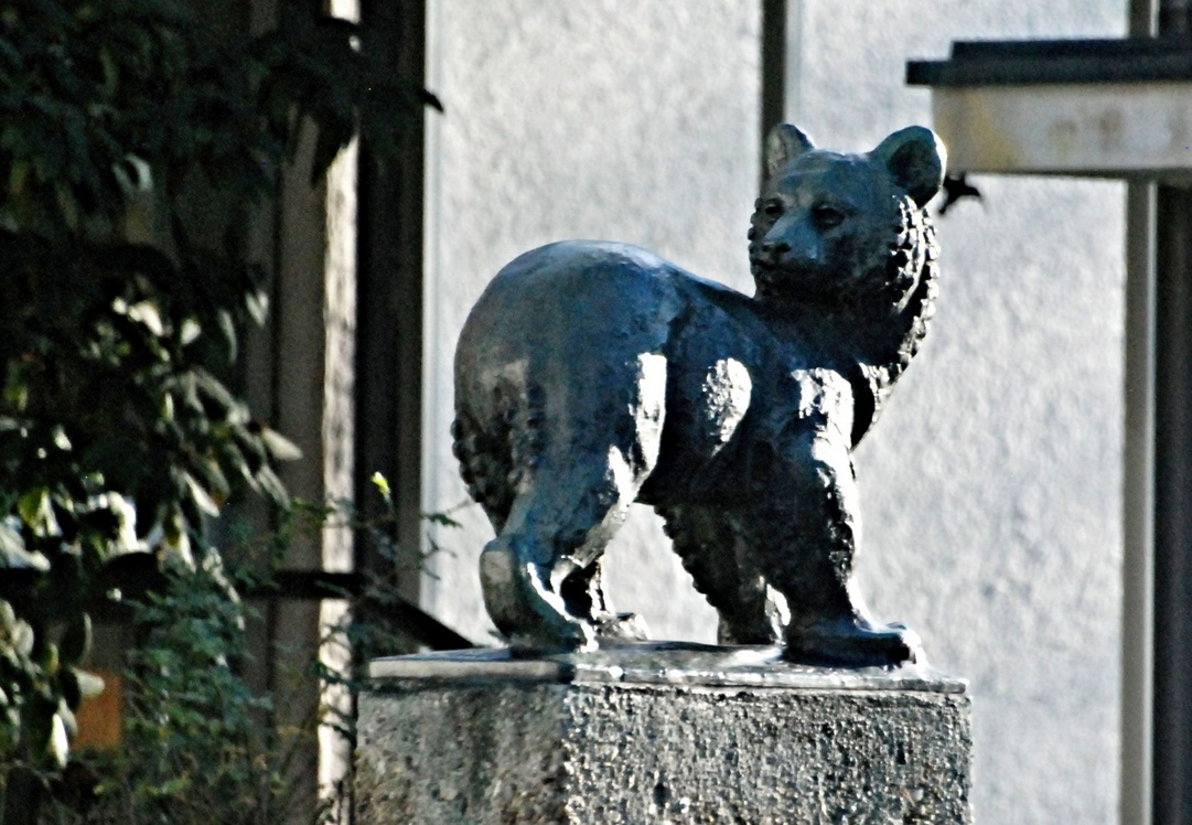22. November 2022 - Rücksicht
