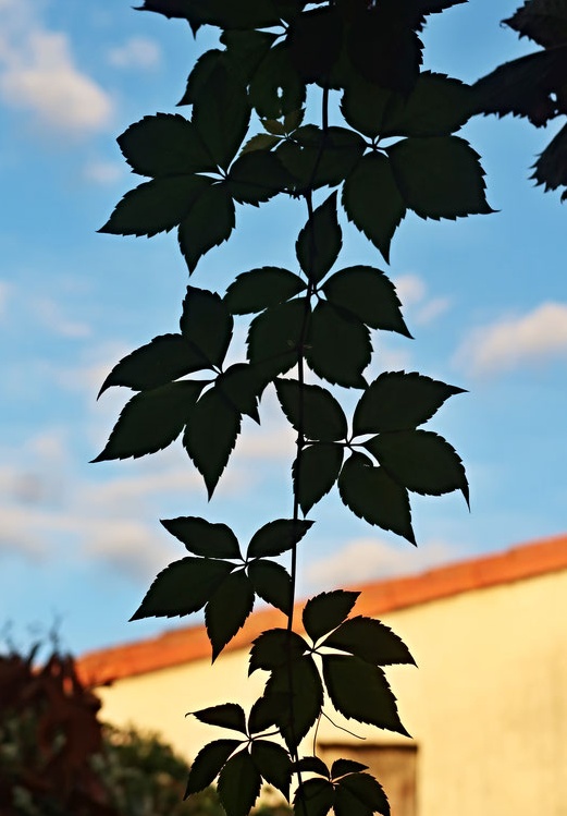 10. September 2017 - Licht und Schatten des Südens 