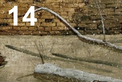 Tor 14
