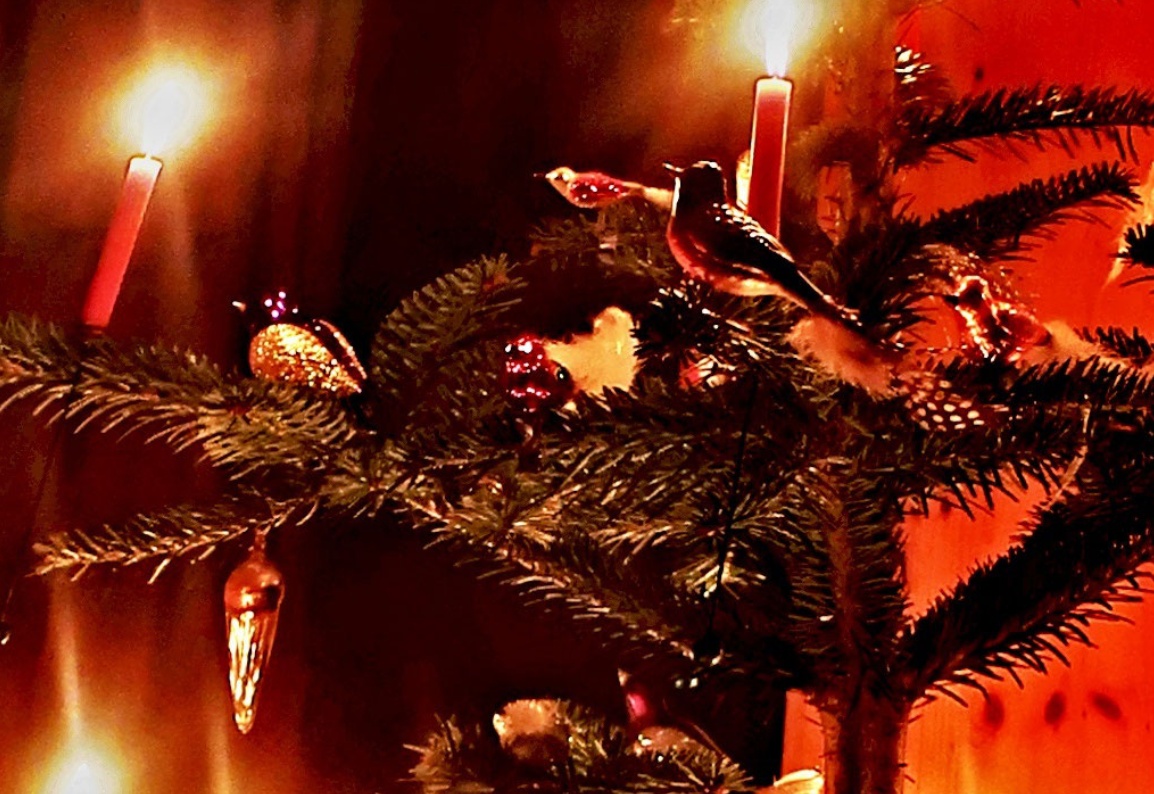 25. Dezember 2019 - Oh Tannenbaum, oh Tannenbaum....