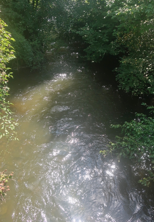 19. August 2024 - Lauschiges Plätzchen - noch wird weggeschwemmt, was der Regen gestern gebracht hat
