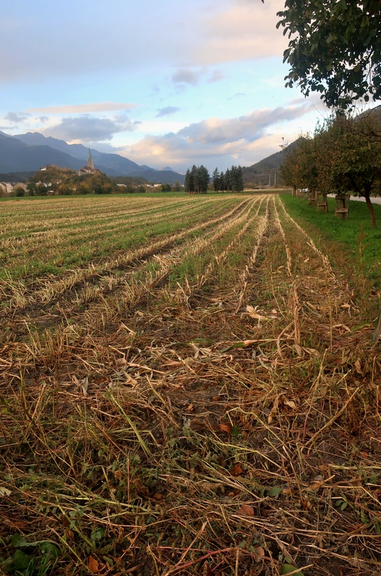 25. Oktober 2019 - Die Ernte ist eingebracht