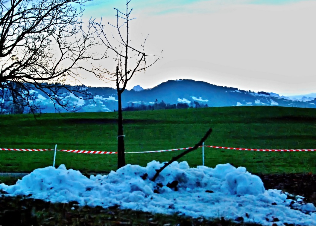 20. Dezember 2023 - Dies ist vom grossen Schnee geblieben