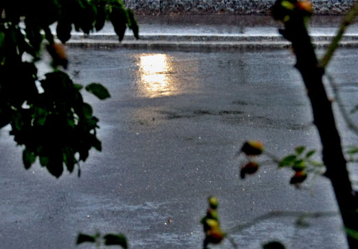 10. August 2018 - Als der Regen kam