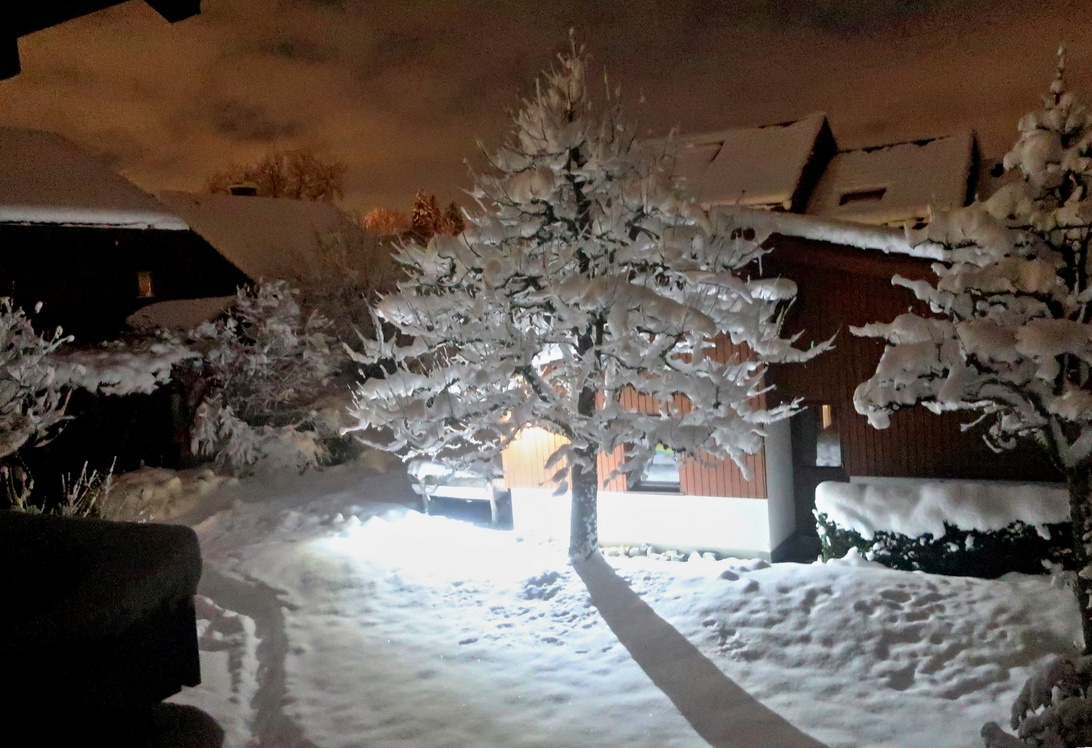 03. Dezember 2023 - Märchennacht